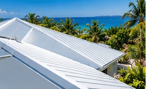 Cool & Reflective Roofs